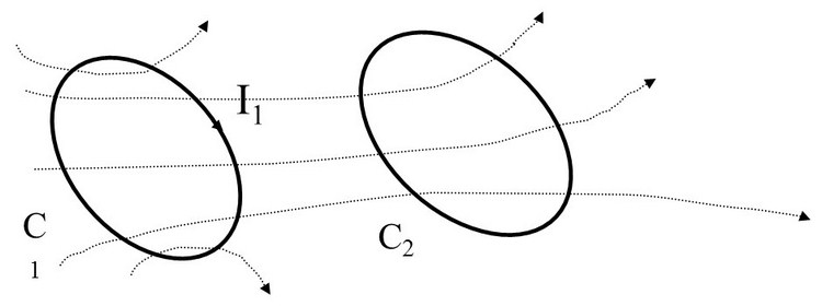 circuiti elementari C1  e C2 costituiti da due spire chiuse