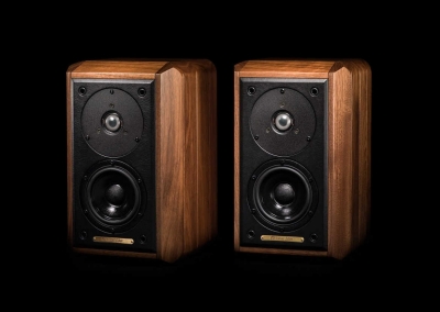 Clone Sonus Faber Minima FM2: Misure acustiche Seas ca12rcy Dynaudio D28SF