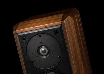 Clone Sonus Faber Minima FM2: misura parametri Thiele & Small