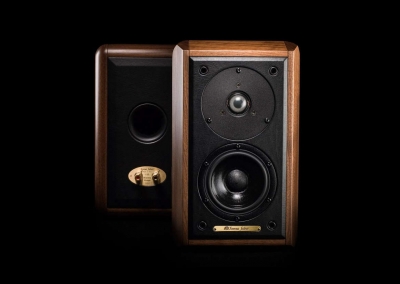 Costruiamo un clone delle Sonus Faber Minima FM2 (Seconda Puntata)