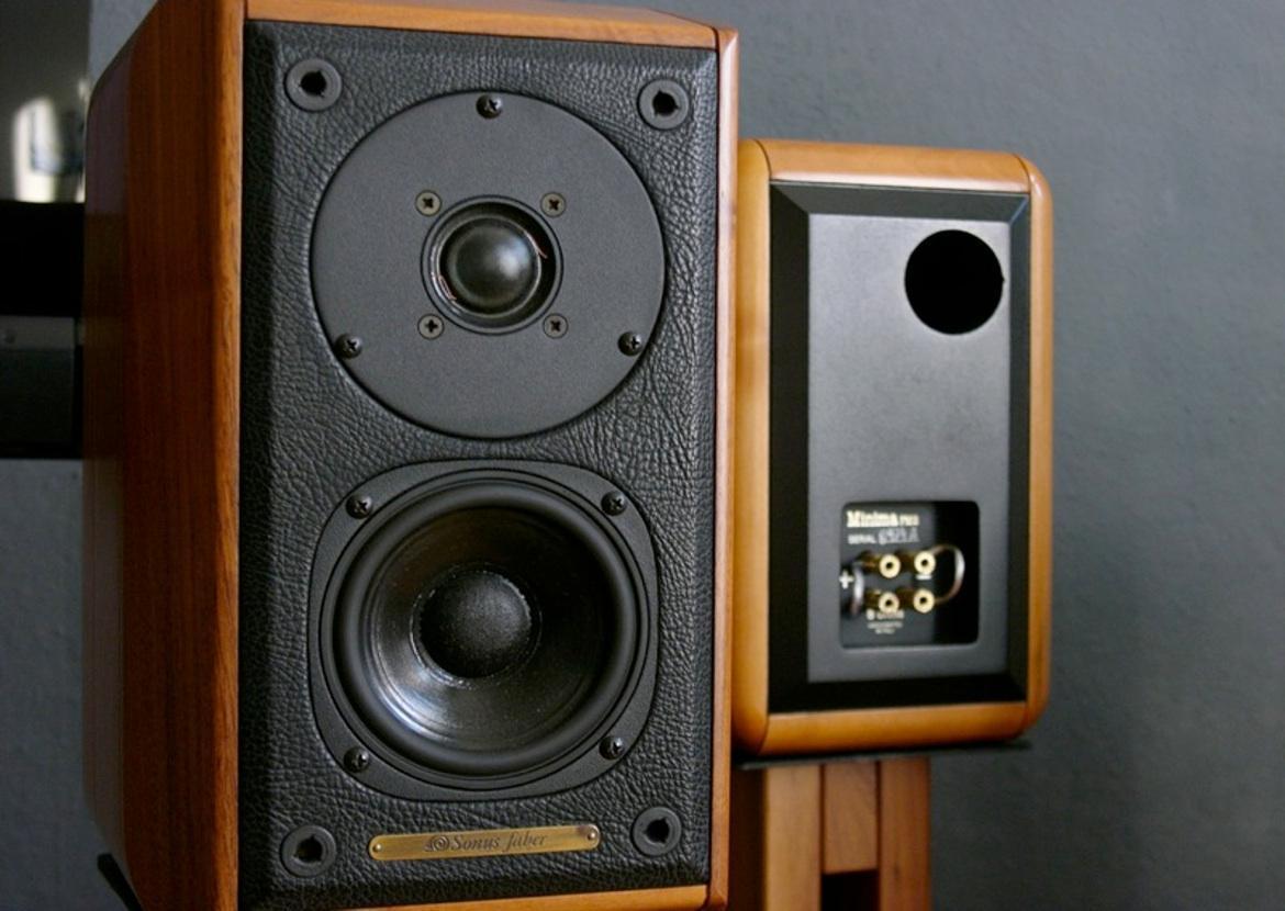 Costruiamo un clone delle Sonus Faber Minima FM2